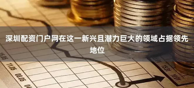 深圳配资门户网在这一新兴且潜力巨大的领域占据领先地位