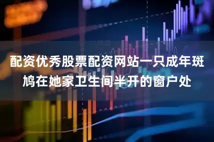 配资优秀股票配资网站一只成年斑鸠在她家卫生间半开的窗户处