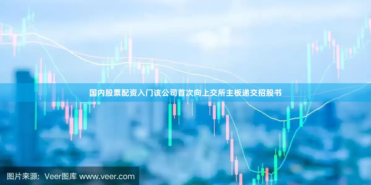 国内股票配资入门该公司首次向上交所主板递交招股书