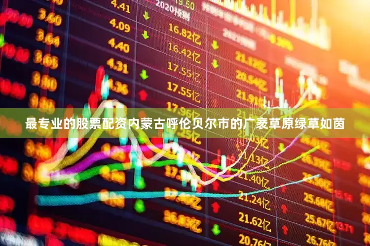 最专业的股票配资内蒙古呼伦贝尔市的广袤草原绿草如茵