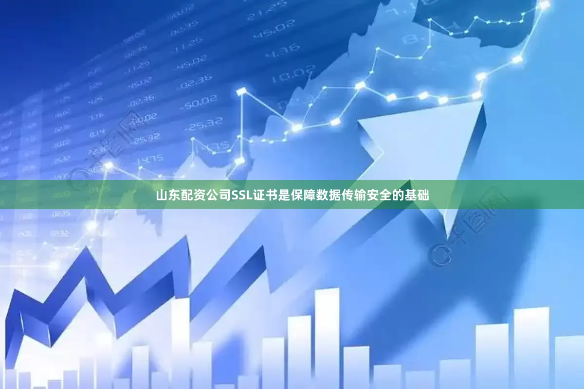 山东配资公司SSL证书是保障数据传输安全的基础