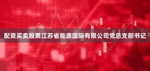配资买卖股票江苏省能源国际有限公司党总支部书记